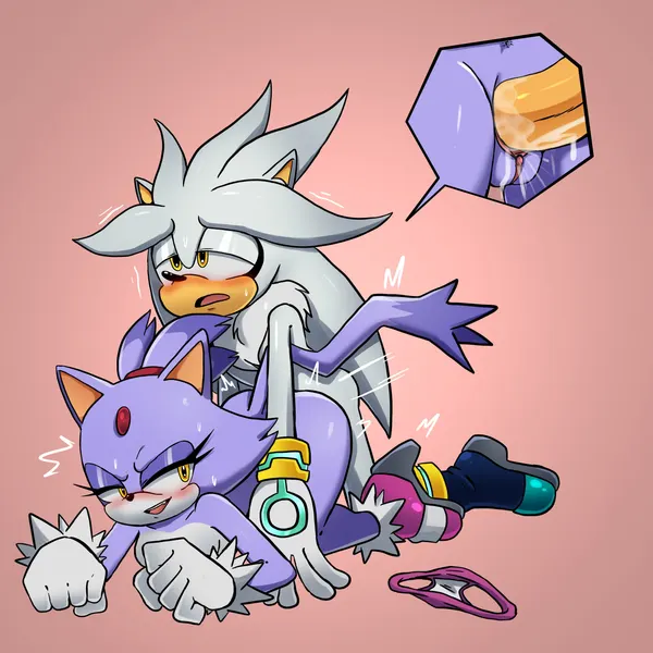 blaze the cat, silver the hedgehog (sega, sonic the hedgehog (series)) created by xao art