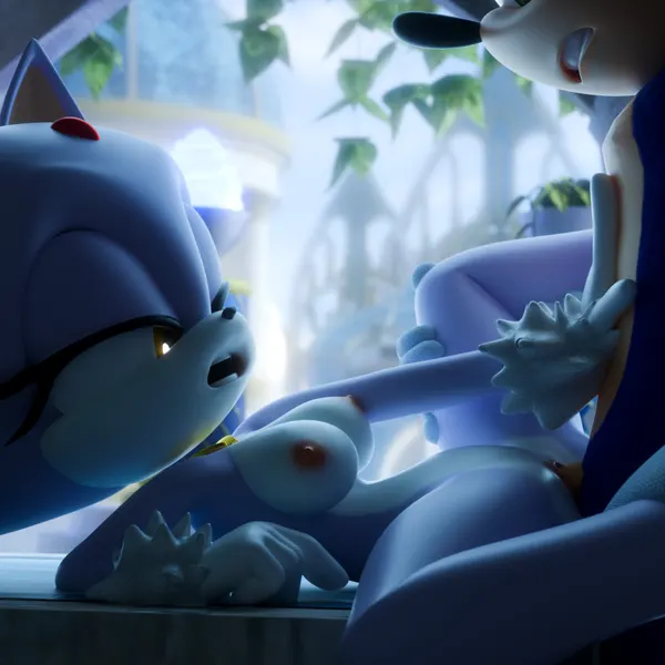 blaze the cat, sonic the hedgehog (sega, sonic the hedgehog (series)) created by akkonsfw
