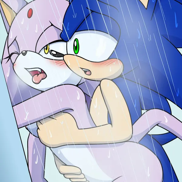 blaze the cat, sonic the hedgehog (sega, sonic the hedgehog (series)) created by sonicguru