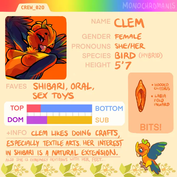 clem the bird created by monochromanis