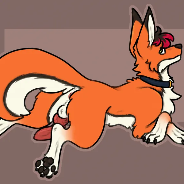 created by wallswhisper