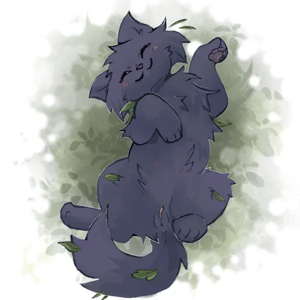 hollyleaf (warriors) (warriors (book series)) created by waterthissport