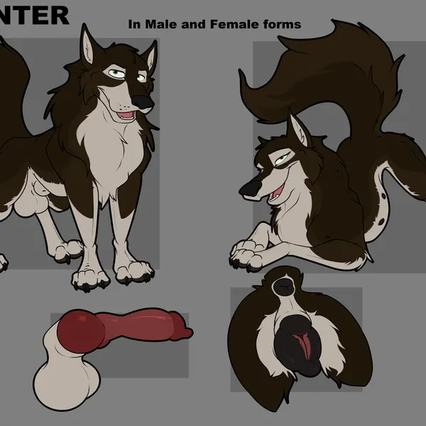 hunter (onyx lupine) created by mcfan