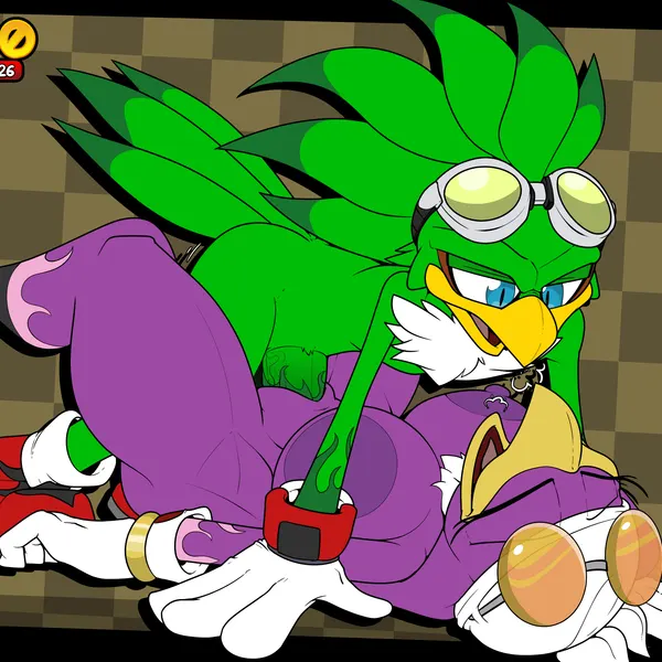 jet the hawk, wave the swallow (sega, sonic riders) created by ner0 kobold
