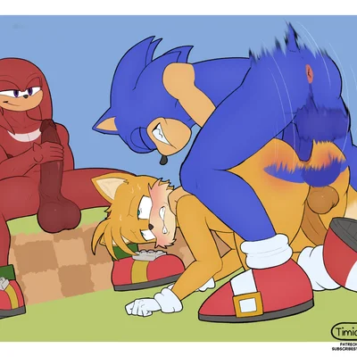 knuckles the echidna, miles prower, sonic the hedgehog (sega, sonic the hedgehog (series)) created by timidwithapen