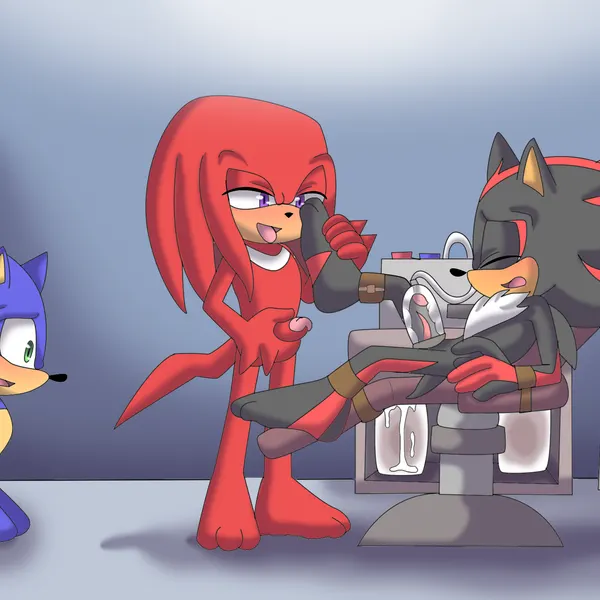 knuckles the echidna, shadow the hedgehog, sonic the hedgehog (sega, sonic the hedgehog (series)) created by angelofhapiness