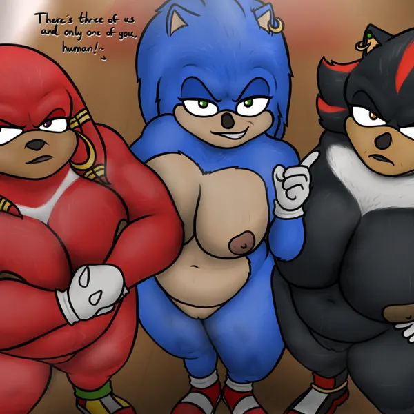knuckles the echidna, shadow the hedgehog, sonic the hedgehog (sega, sonic the hedgehog (series)) created by oystercatcher7