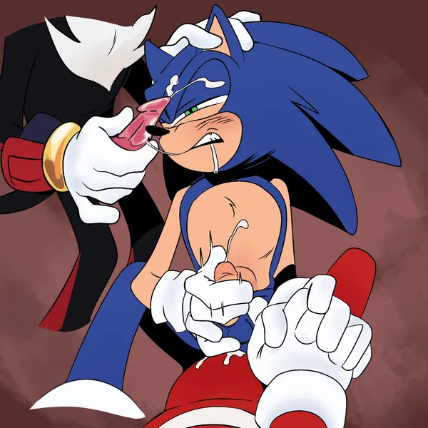 knuckles the echidna, shadow the hedgehog, sonic the hedgehog (sega, sonic the hedgehog (series)) created by somedivs