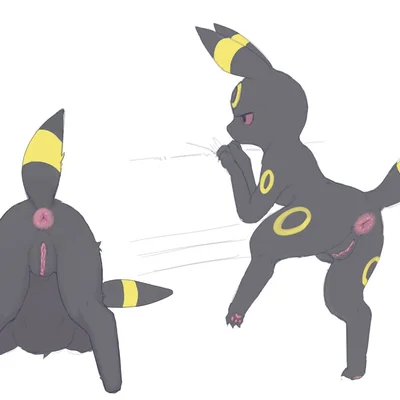 nintendo, pokemon created by pokopokarea