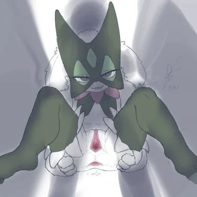 nintendo, pokemon created by pokopokarea