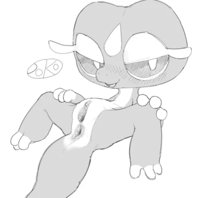 nintendo, pokemon created by pokopokarea