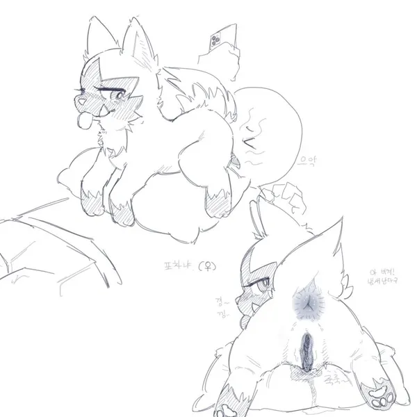 nintendo, pokemon created by pokopokarea