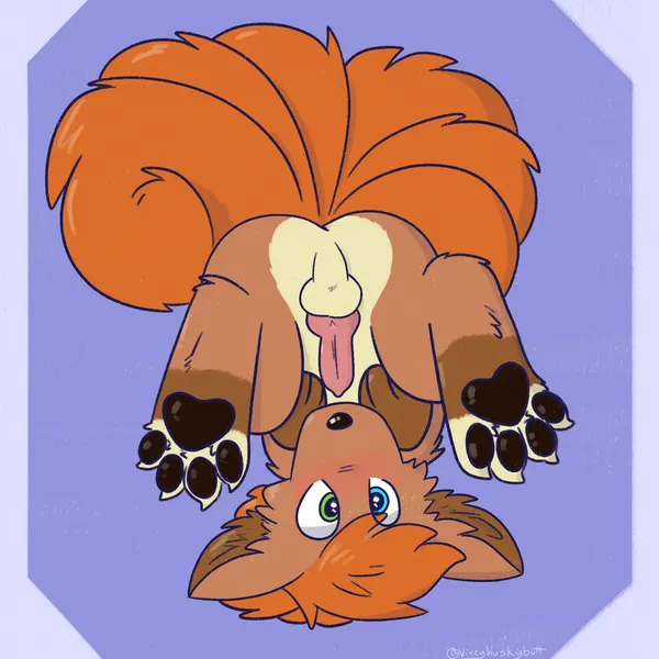 nintendo, pokemon created by vixeyhuskybutt
