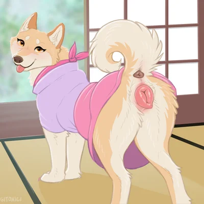 panama (hakudoge) created by digitoxici