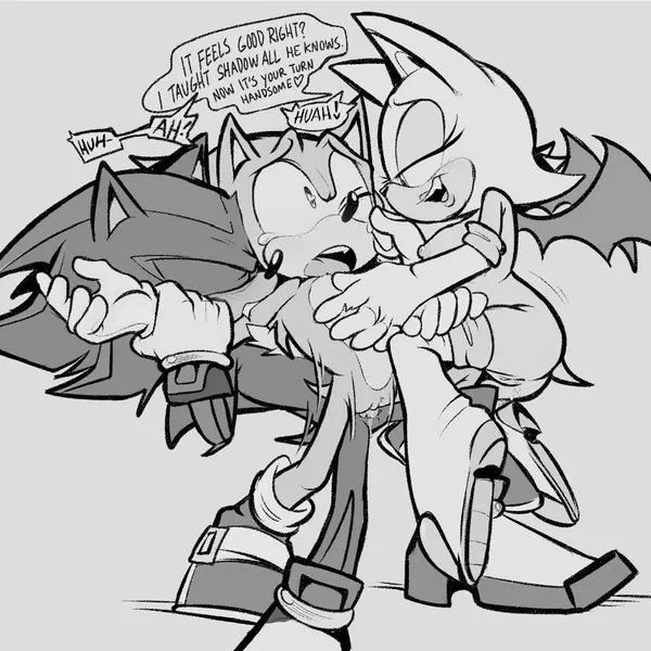 rouge the bat, shadow the hedgehog, sonic the hedgehog (sega, sonic the hedgehog (series)) created by shaddycatz