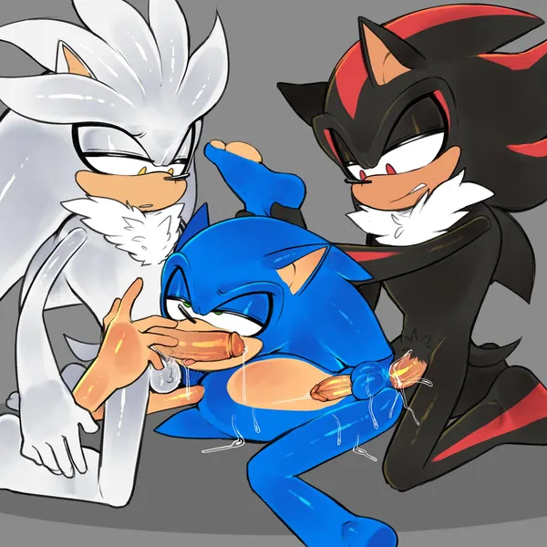 shadow the hedgehog, silver the hedgehog, sonic the hedgehog (sega, sonic the hedgehog (series)) created by mayghely