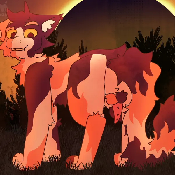 sol (warriors) (warriors (book series)) created by cgm