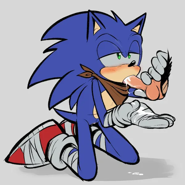 sonic the hedgehog (sega, sonic boom) created by shaddycatz