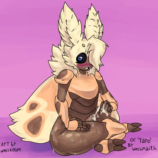 taro (welwraith) created by wallkisser