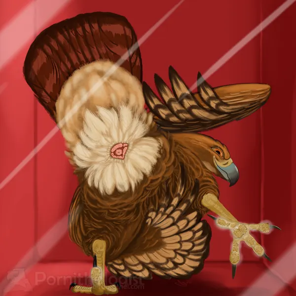 yksteldus created by pornithologist