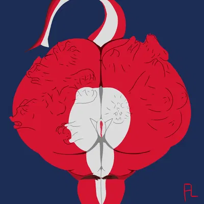 akai (flightlesslizard) created by flightlesslizard