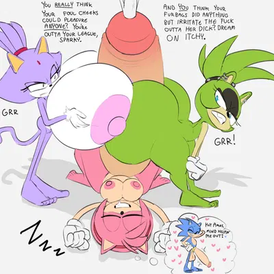 amy rose, blaze the cat, sonic the hedgehog (idw publishing, sega) created by oogabutt