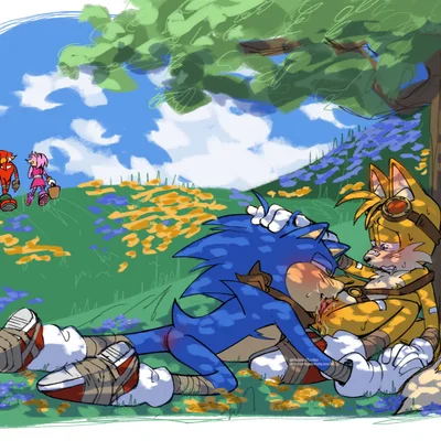 amy rose, knuckles the echidna, miles prower (sega, sonic boom) created by relatedturtles