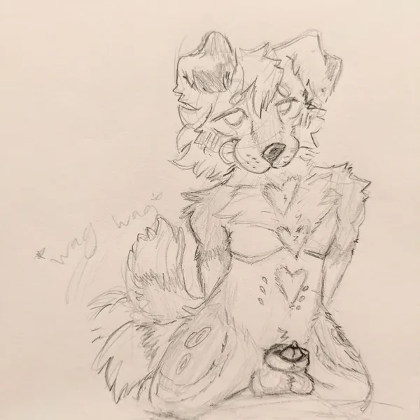 animal genitalia, anthro, balls, blush