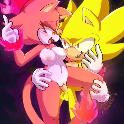 blaze the cat, burning blaze, sonic the hedgehog (sega, sonic the hedgehog (series)) created by flaresg art