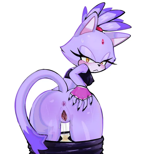 blaze the cat (sega, sonic the hedgehog (series)) created by goldyrose22