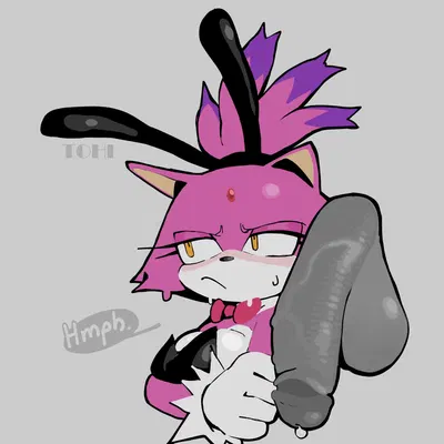 blaze the cat (sega, sonic the hedgehog (series)) created by theonehornedimp