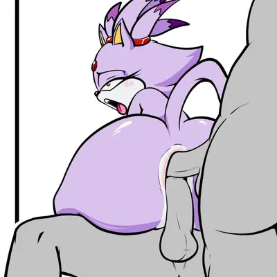 blaze the cat (sega, sonic the hedgehog (series)) created by voidsdroids