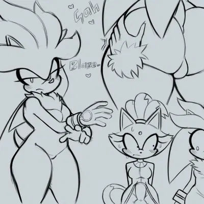 blaze the cat, silver the hedgehog (sega, sonic the hedgehog (series)) created by snesti09