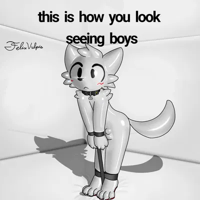 boy kisser (meme) created by felixvulpis