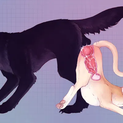 calpurnia created by ratm-af