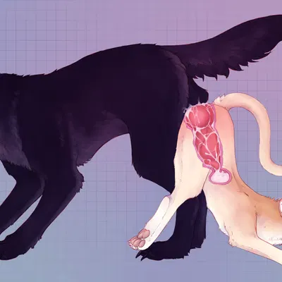 calpurnia created by ratm-af