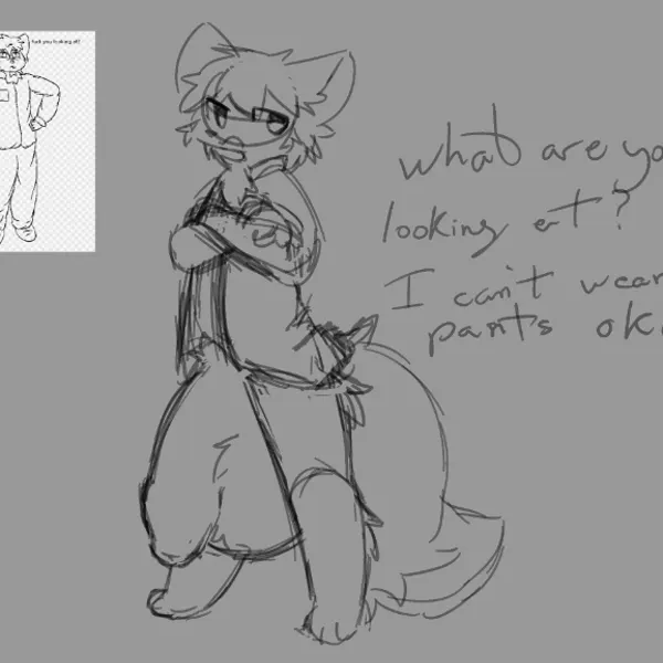 chefoxara (oc) created by potayo