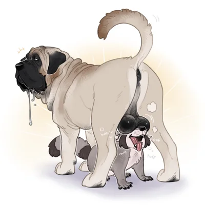 coontail, coontail v2 created by fernsigillum