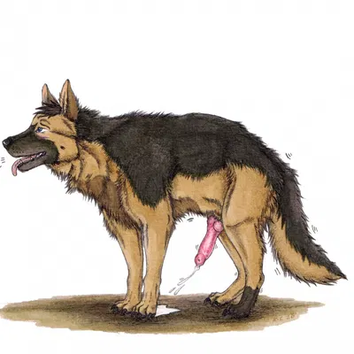 cosmo (mtsheppy) created by kola (artist)