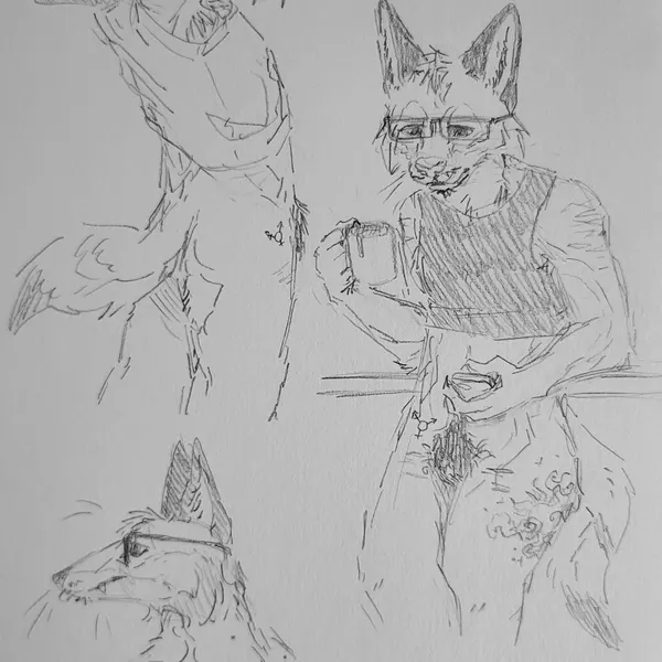 created by curious coyote