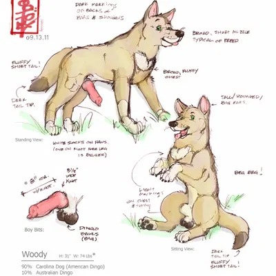 created by fennec (artist)