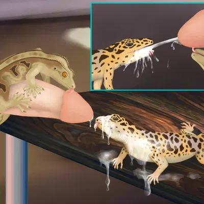 created by lusttheorydreams