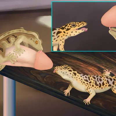 created by lusttheorydreams