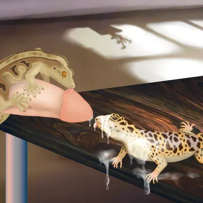 created by lusttheorydreams