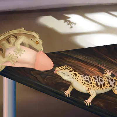 created by lusttheorydreams