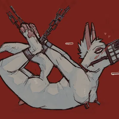 created by openfracturesday