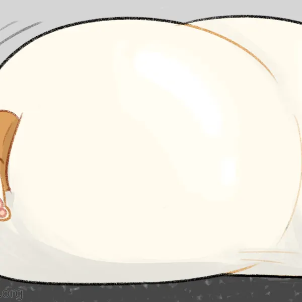 created by paddedpurr