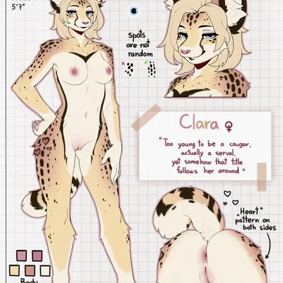 created by spuydjeks