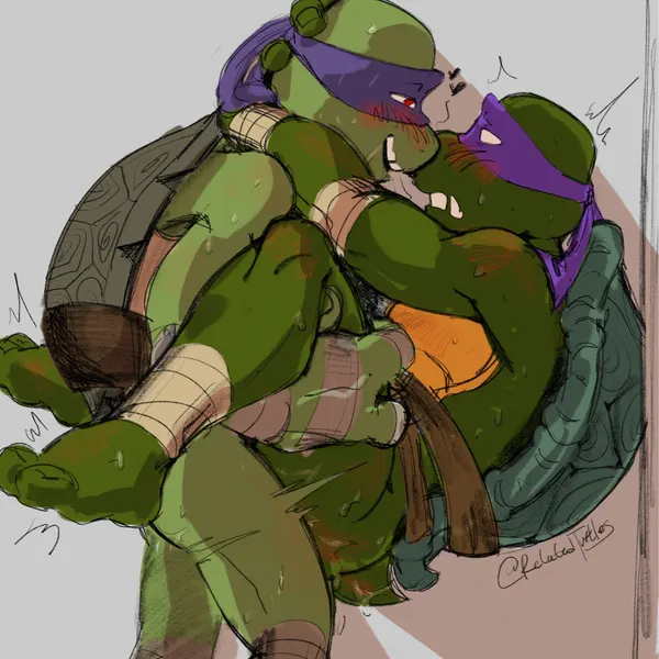 donatello (tmnt) (teenage mutant ninja turtles) created by relatedturtles
