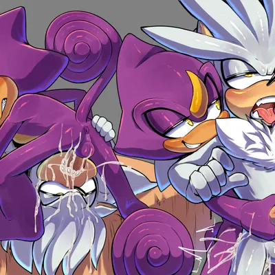 espio the chameleon, silver the hedgehog (sega, sonic the hedgehog (series)) created by mayghely